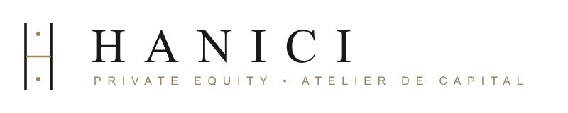 Hanici Brand Identity Logo